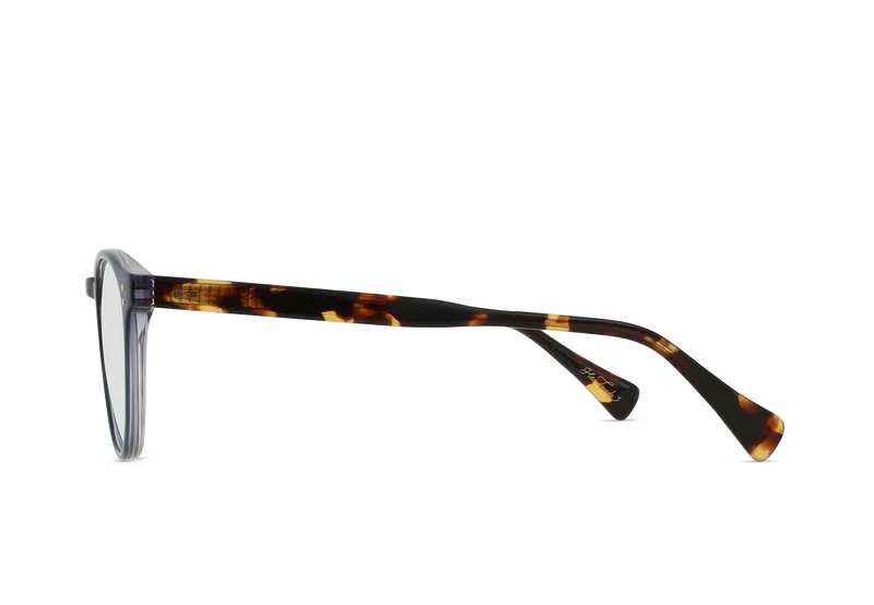 RAEN Beal optical frame Azure Smoke side view