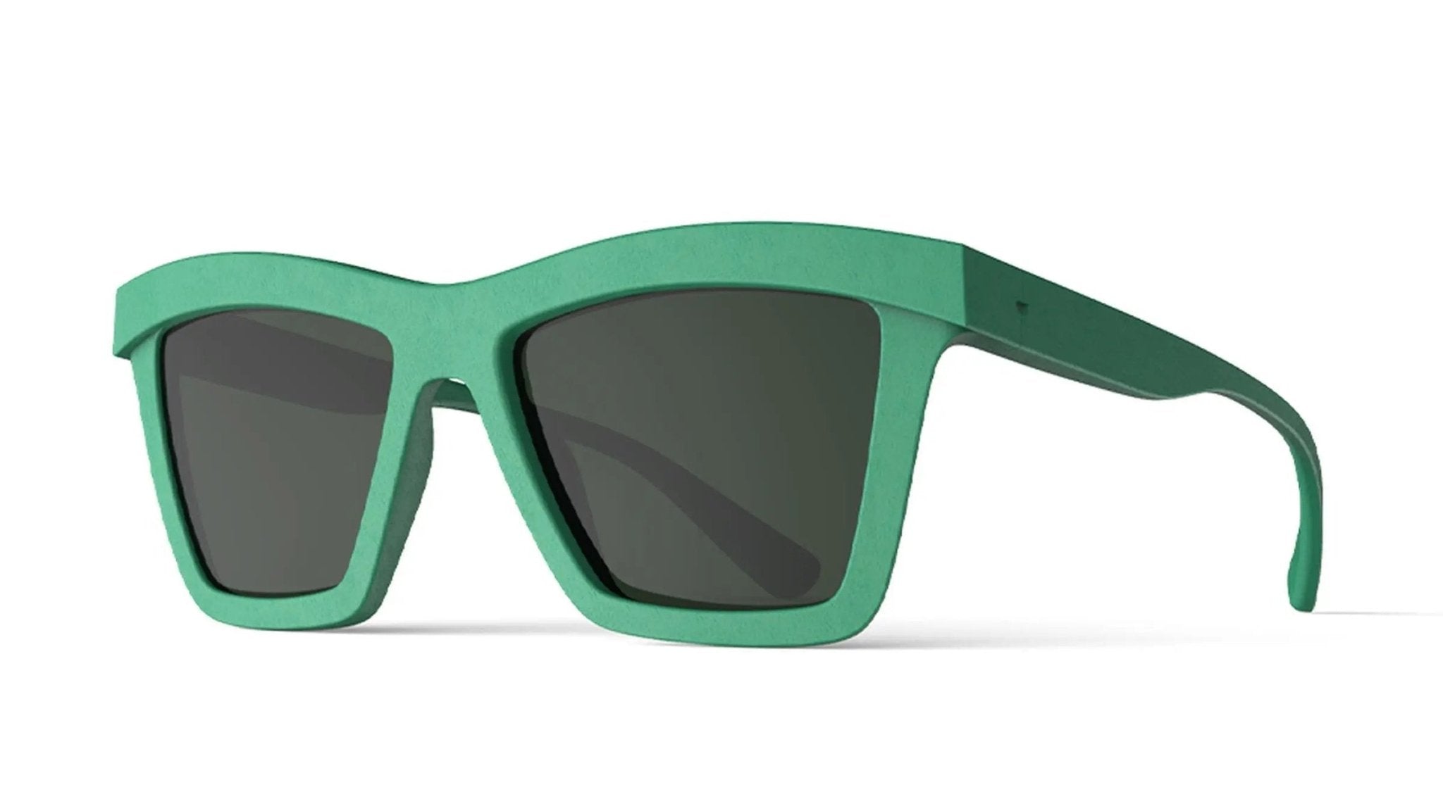 ARTA - yosemiteeyewear