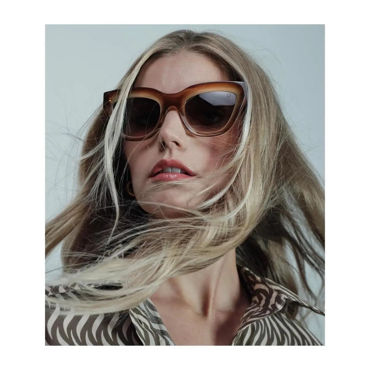 HALL - yosemiteeyewear