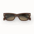Brown sunglasses with &