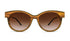 LYTCHY- yosemiteeyewear
