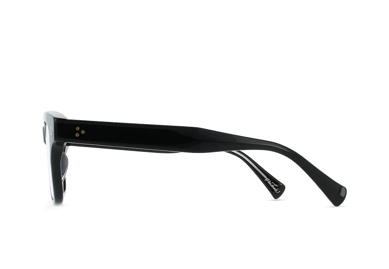 RAEN Leuka optical frame Crystal Black side view