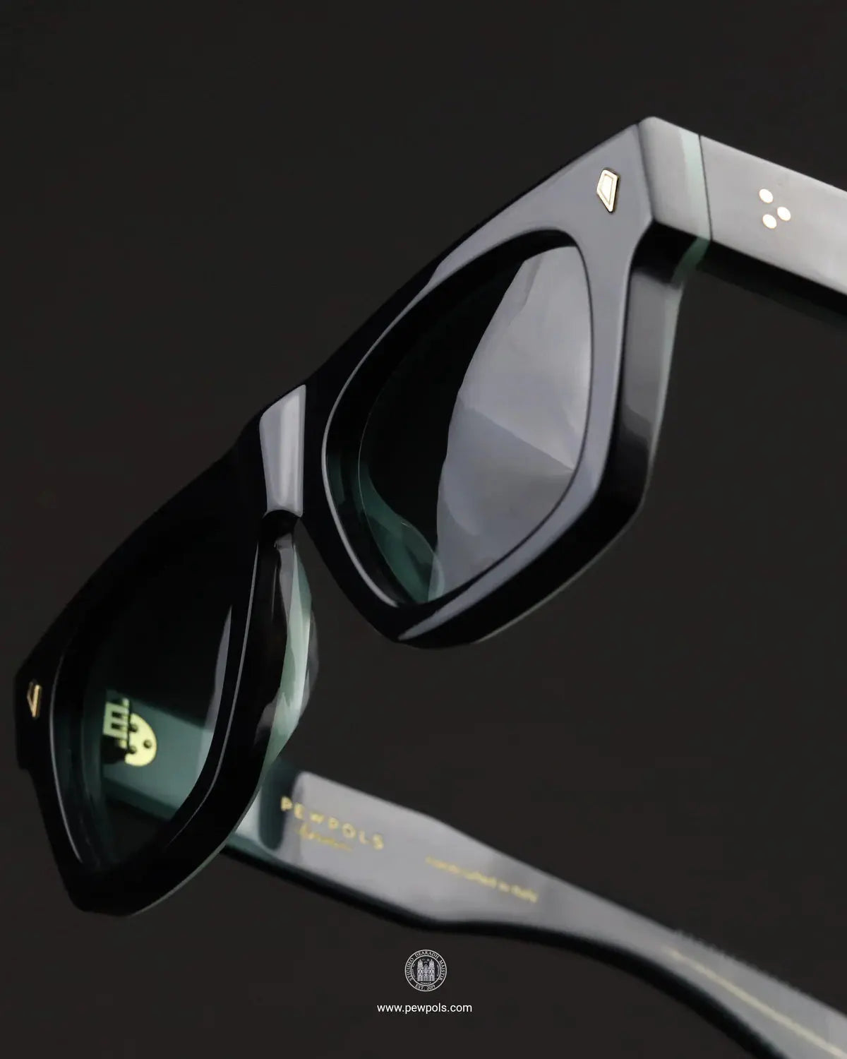 pewpols masten sunglasses side view