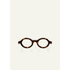 HAVANA GOLD R2 - yosemiteeyewear