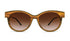 LYTCHY - yosemiteeyewear