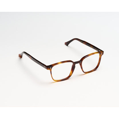 kador roger trotoise